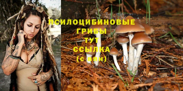jwh Беломорск